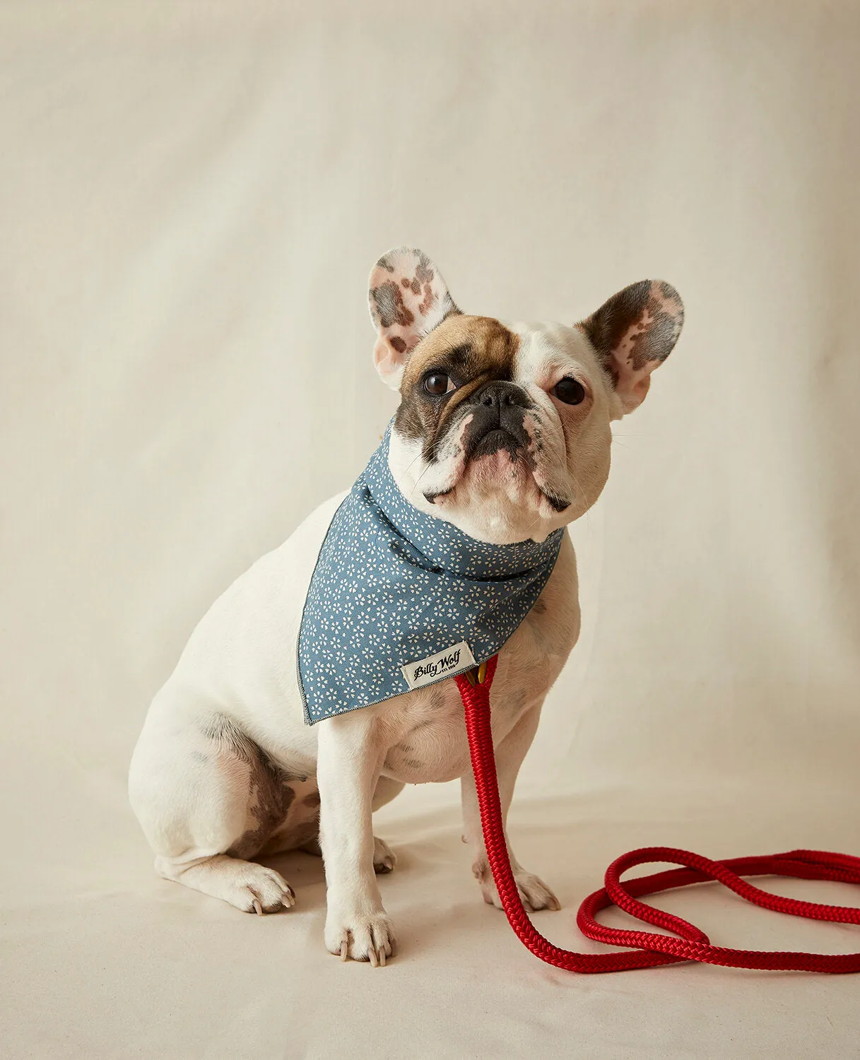 Avery Bandana