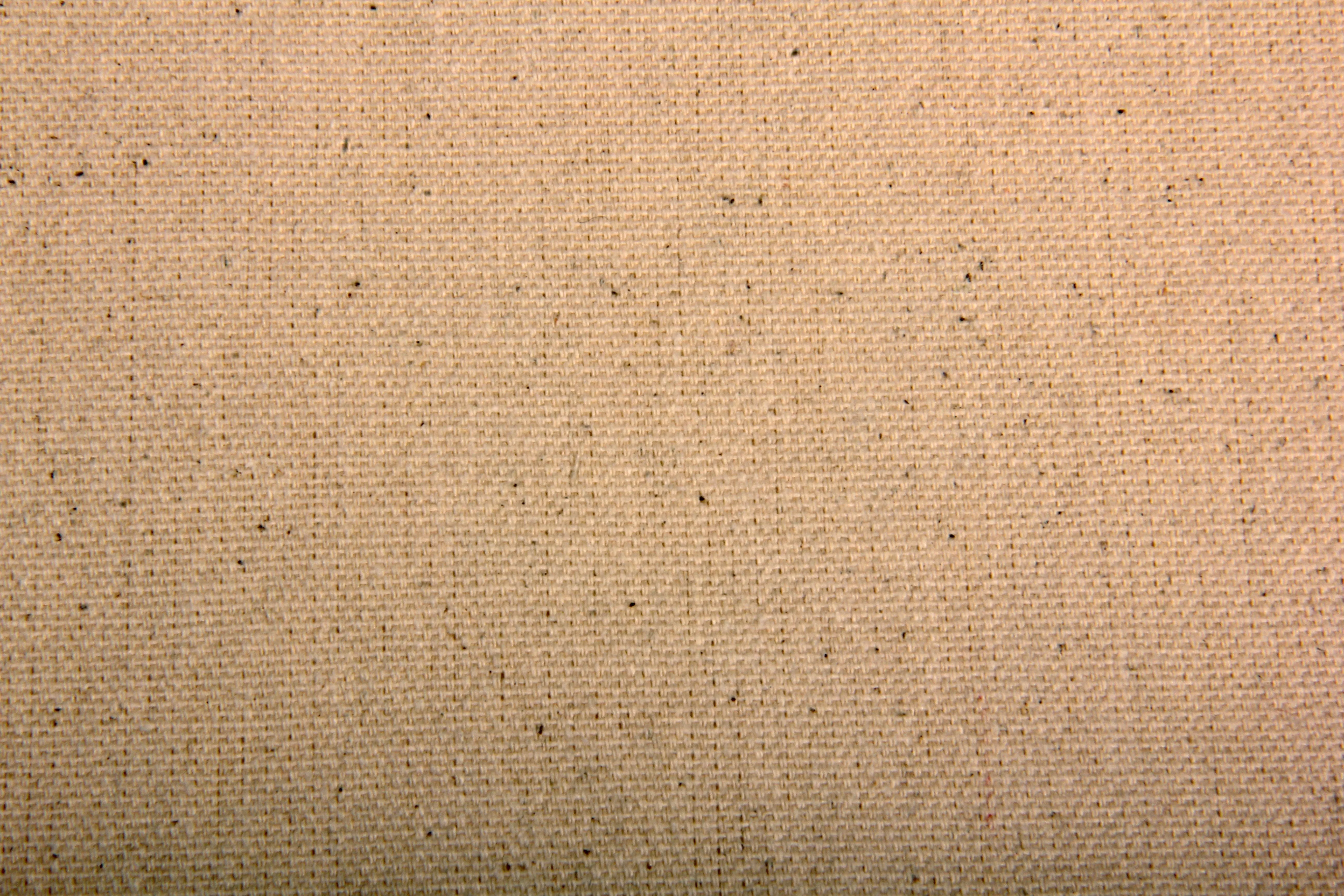 BCI Certified Cream Solid 10 * 6 Duck Fabric