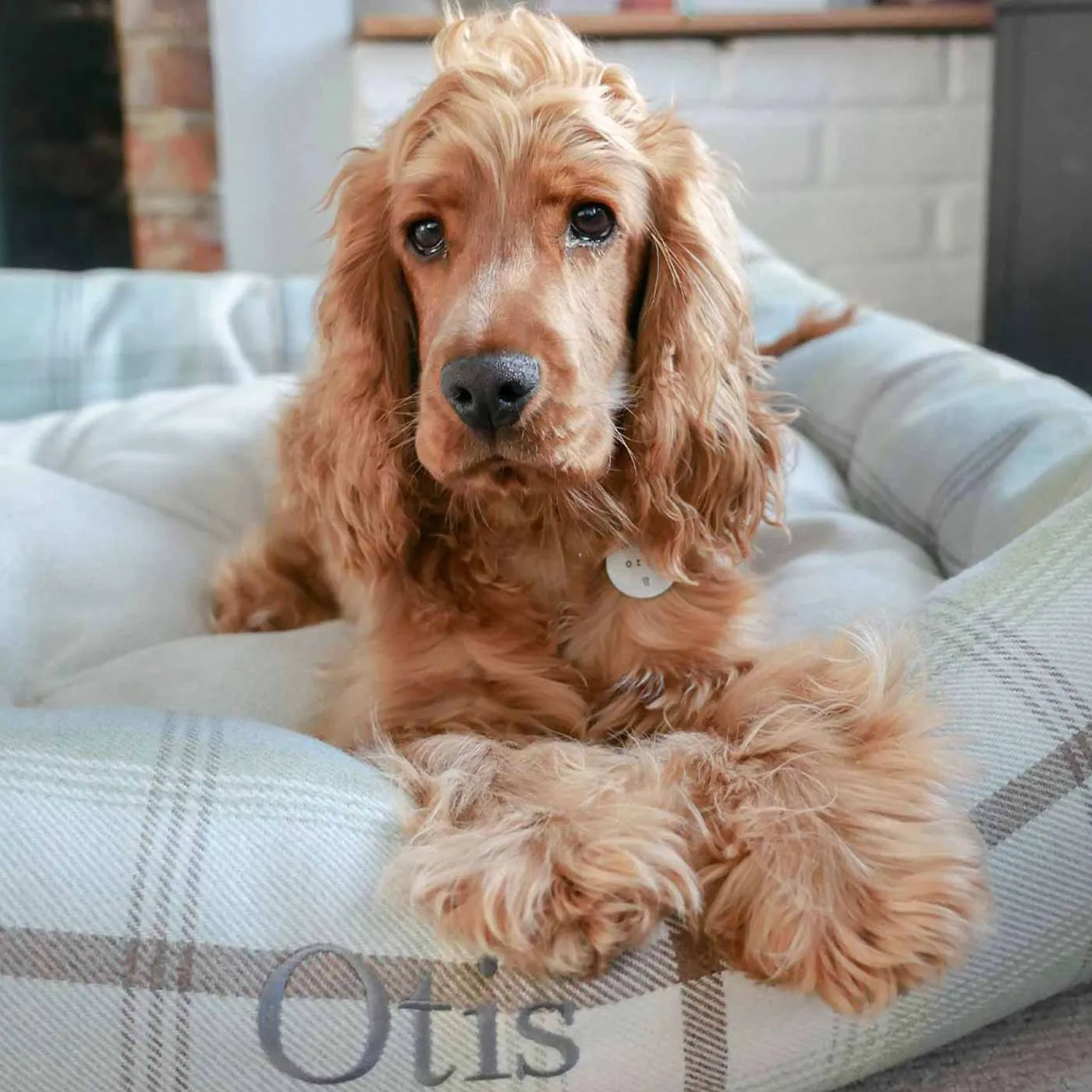 Box Bed With Removable Cover in Balmoral Tweed by Lords & Labradors