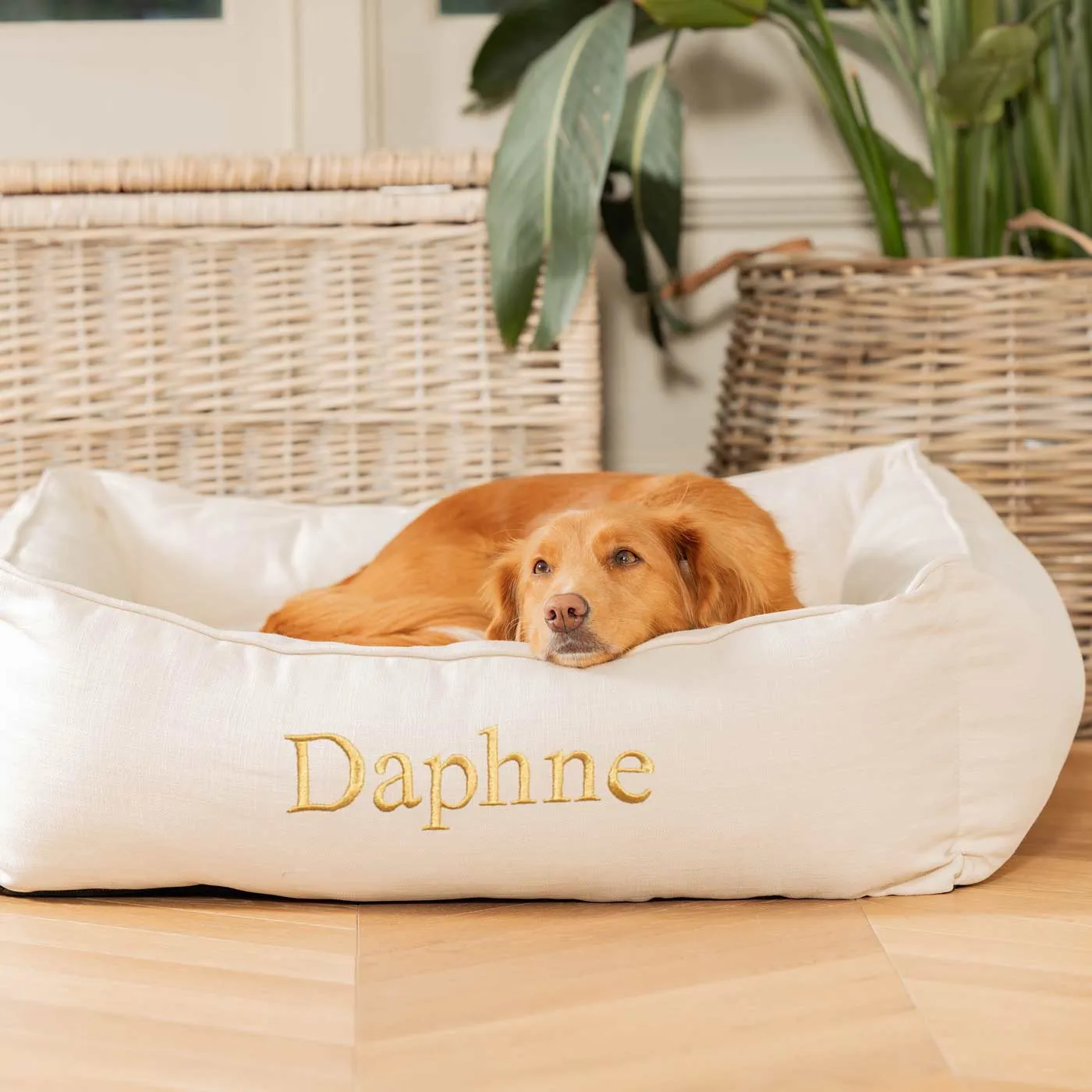 Box Bed With Removable Covers in Savanna Bone by Lords & Labradors