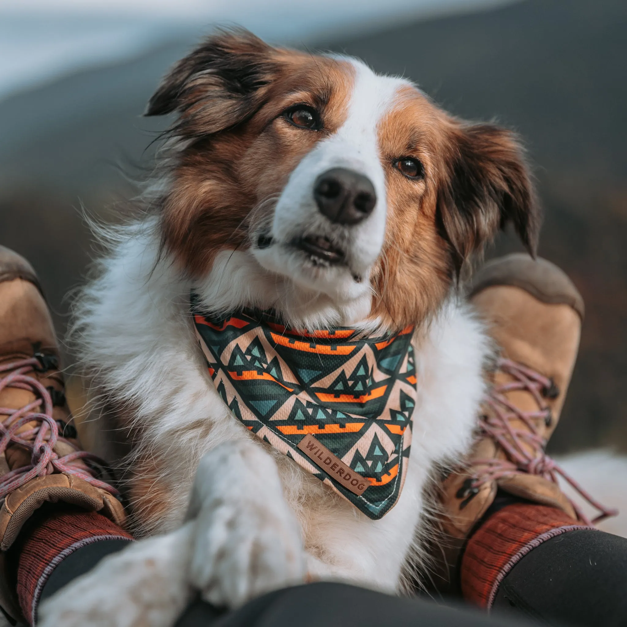 Camp Bandana