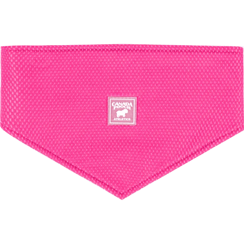 Canada Pooch Cooling Bandana Neon Pink