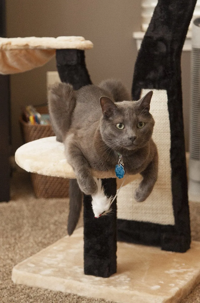 Cat Tree - 3 Tier