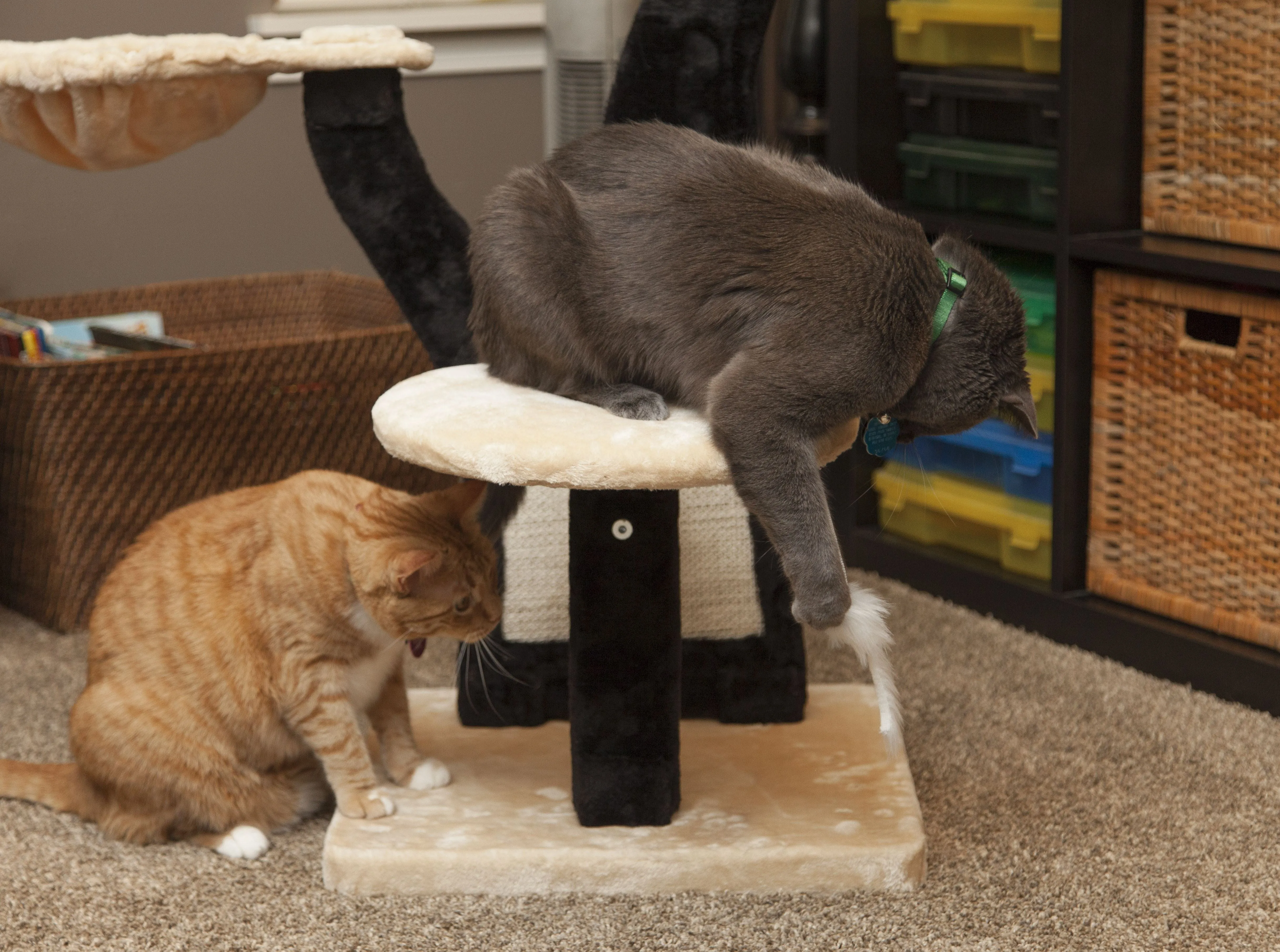 Cat Tree - 3 Tier