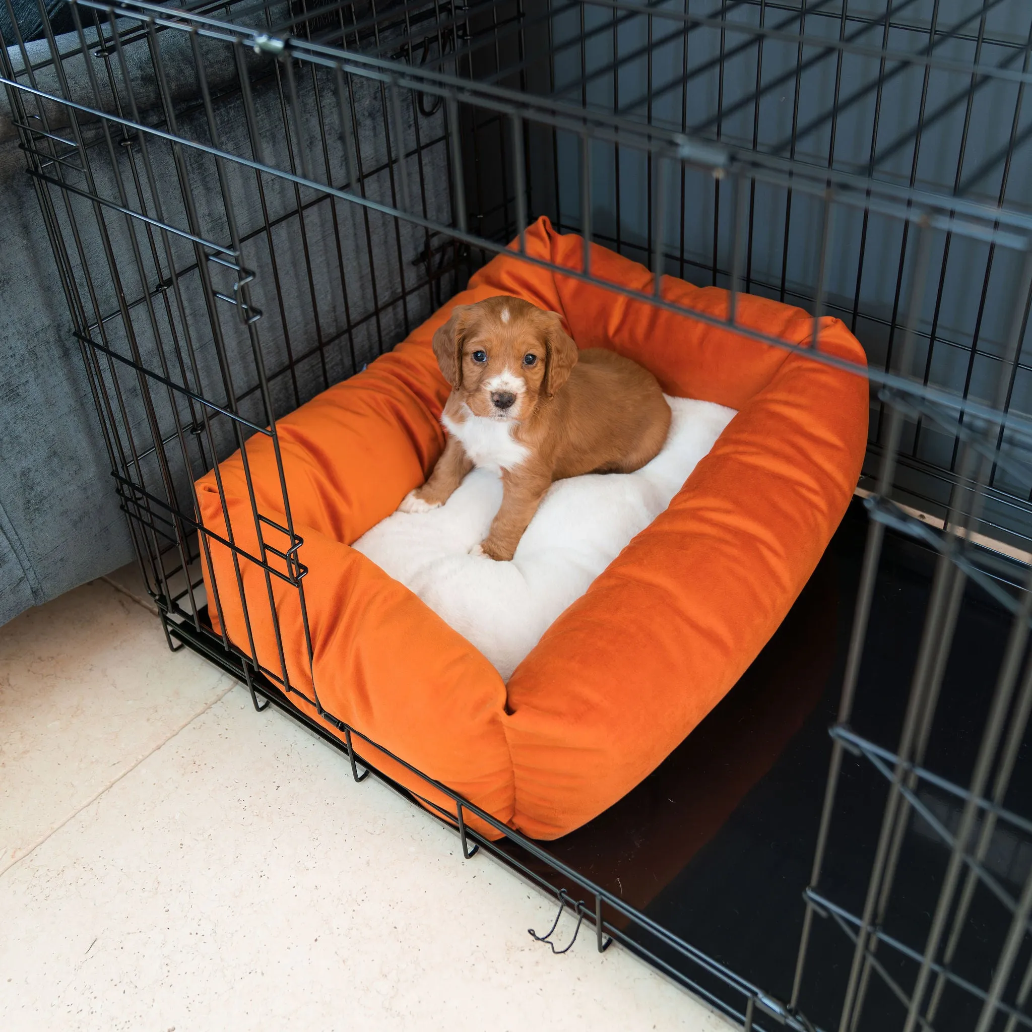 Cosy & Calming Puppy Crate Bed In Pumpkin Velvet by Lords & Labradors