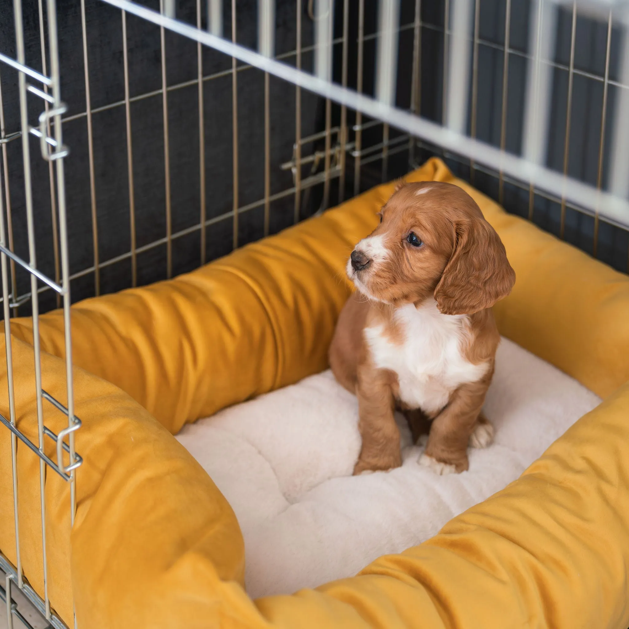 Cosy & Calming Puppy Crate Bed With Removable Covers In Saffron Velvet by Lords & Labradors