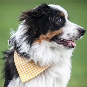 Creature Clothes Slip On Dog Bandana Yellow Gingham