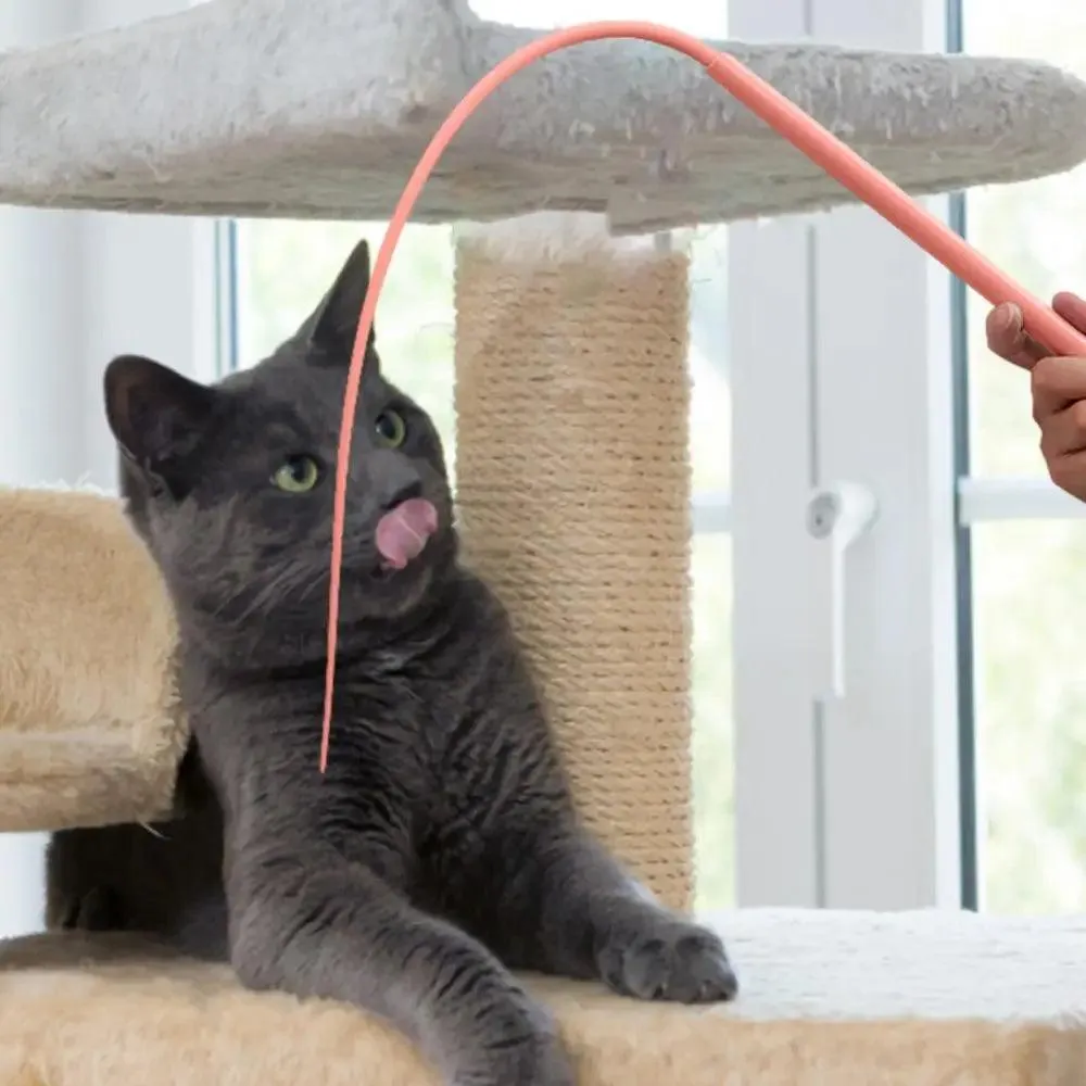 Da Rat Tail Cat Toy