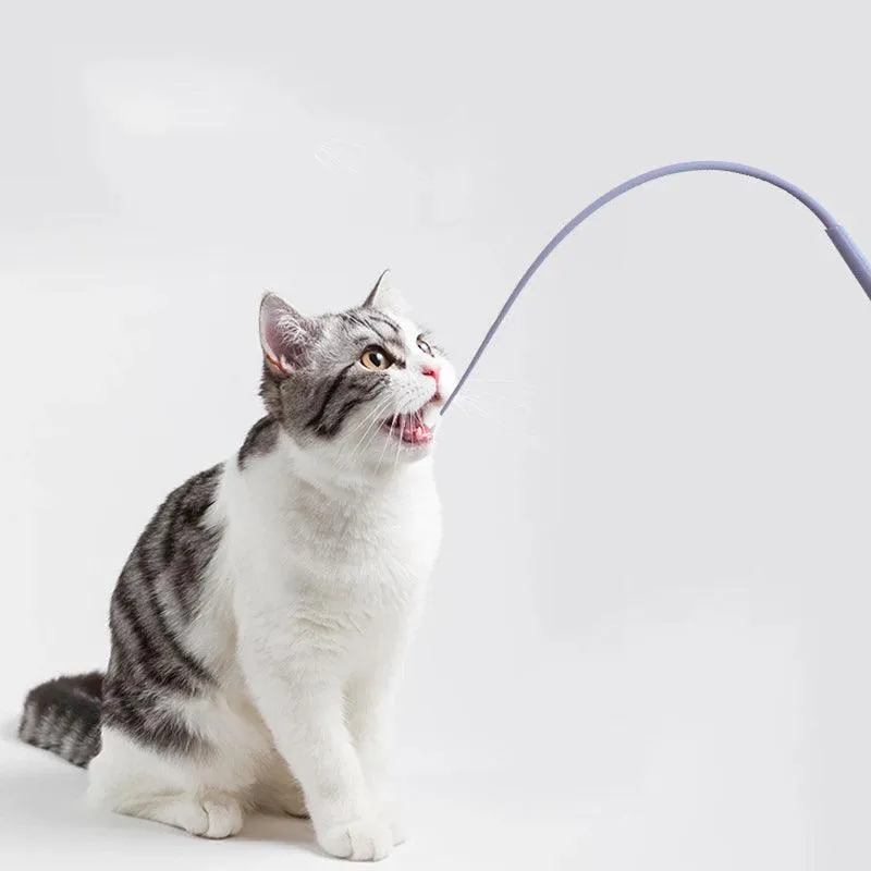 Da Rat Tail Cat Toy