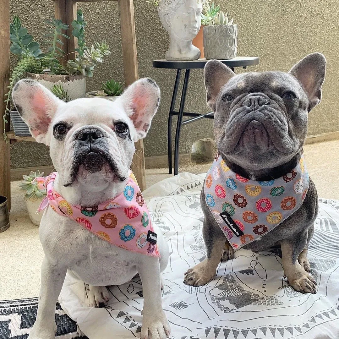 Frenchiestore Dog Cooling Bandana | Mint StarPup