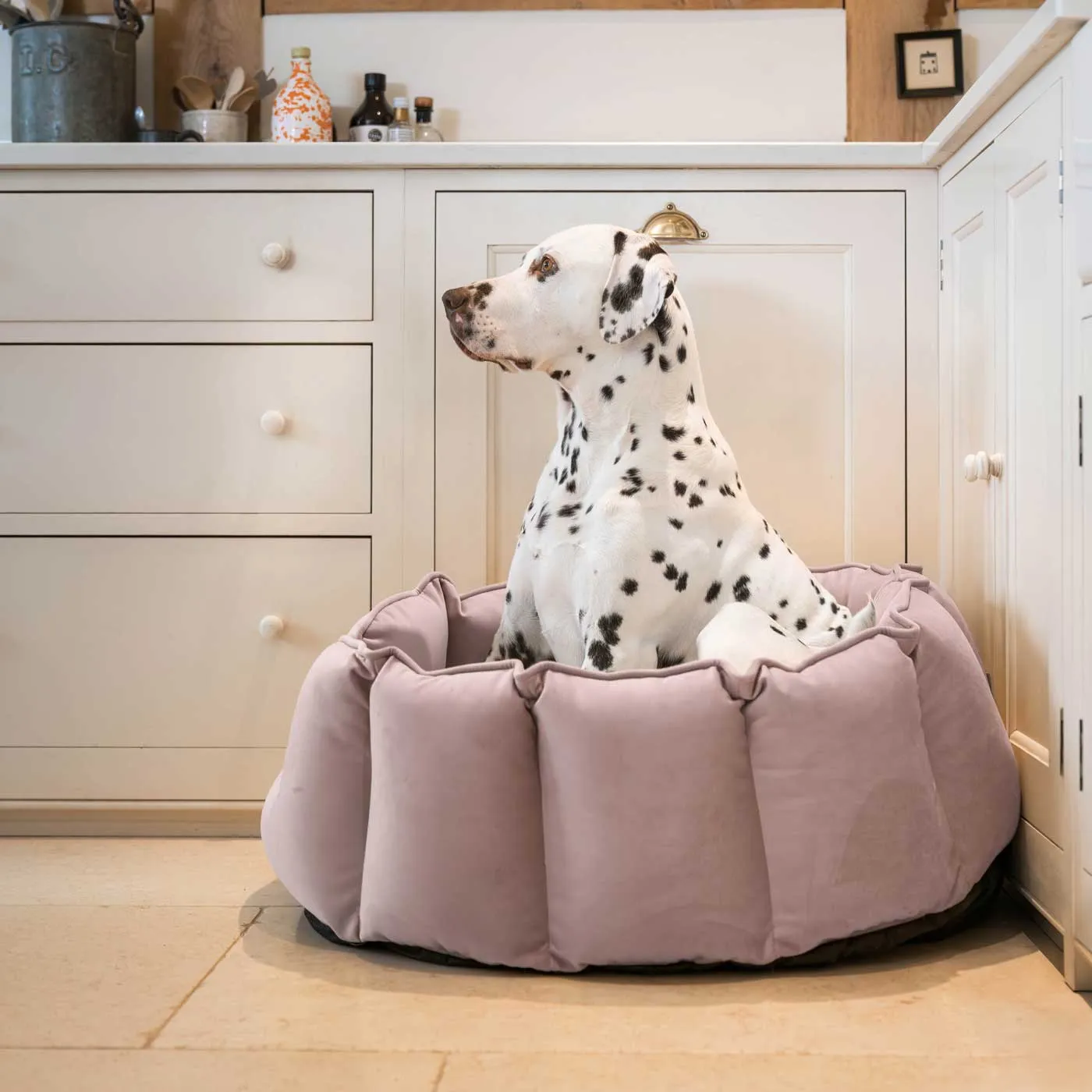 High Wall Bed With Removable Covers in Blossom Velvet by Lords & Labradors