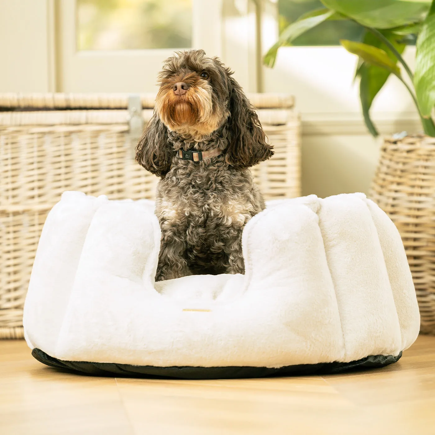 High Wall Bed With Removable Covers in Calming Anti-Anxiety Cream Faux Fur by Lords & Labradors