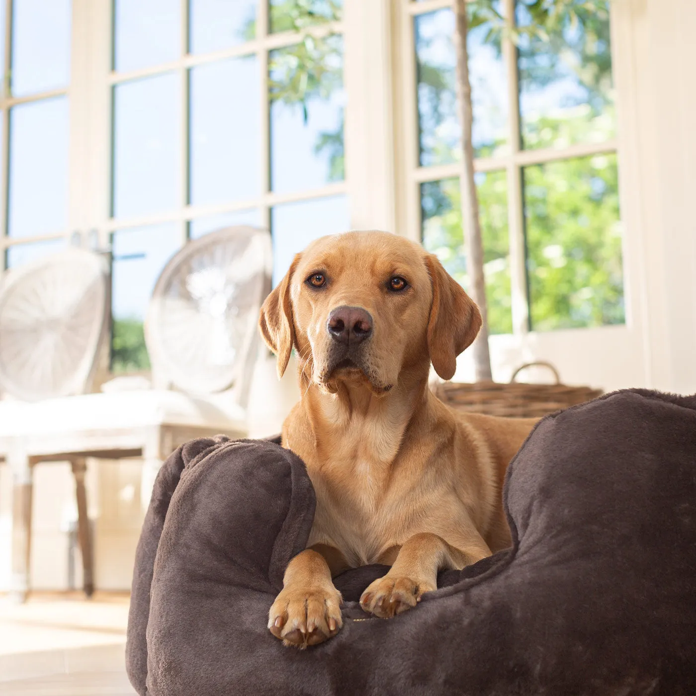 High Wall Bed With Removable Covers in Calming Anti-Anxiety Dusk Faux Fur by Lords & Labradors