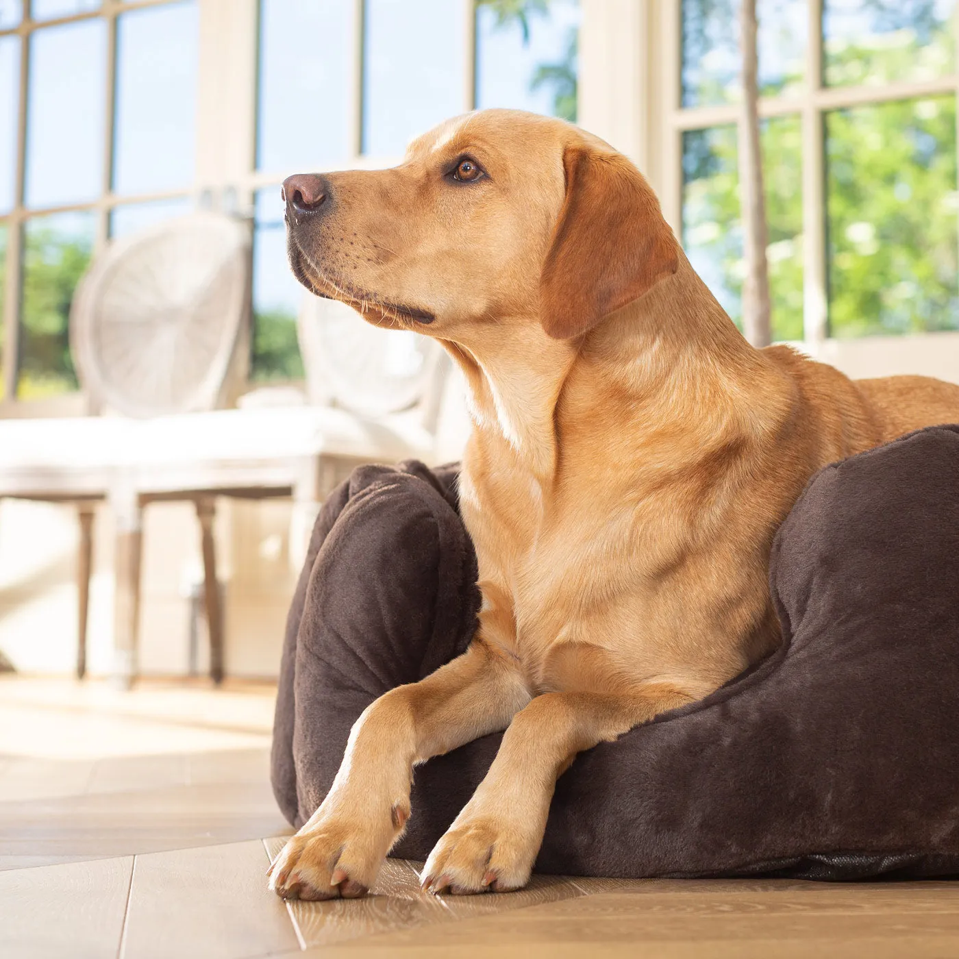 High Wall Bed With Removable Covers in Calming Anti-Anxiety Dusk Faux Fur by Lords & Labradors