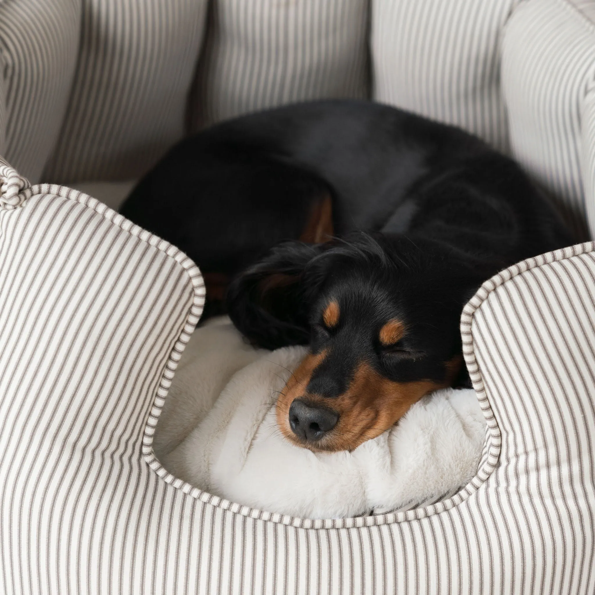 High Wall Bed With Removable Covers in Regency Stripe by Lords & Labradors