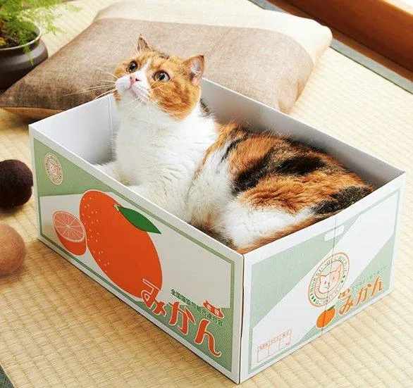 Japanese carton shape Folding cat scratching box Claw grinding board NP-H7TOA-904