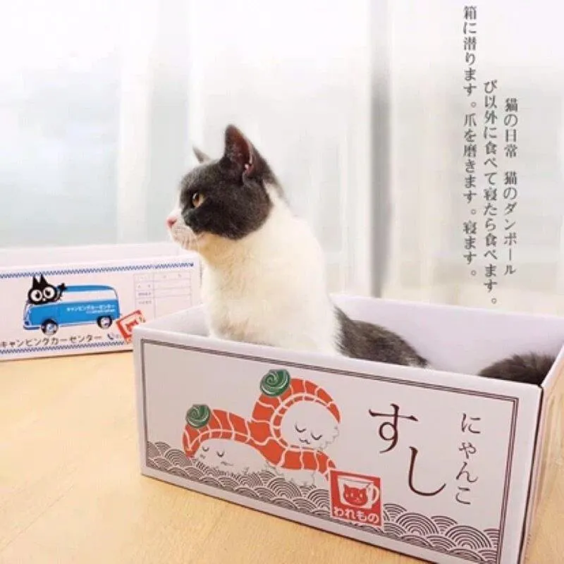 Japanese carton shape Folding cat scratching box Claw grinding board NP-H7TOA-904