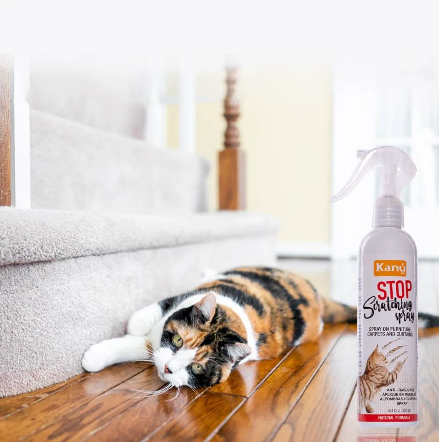 Kanu Pet Stop Scratching For Cats