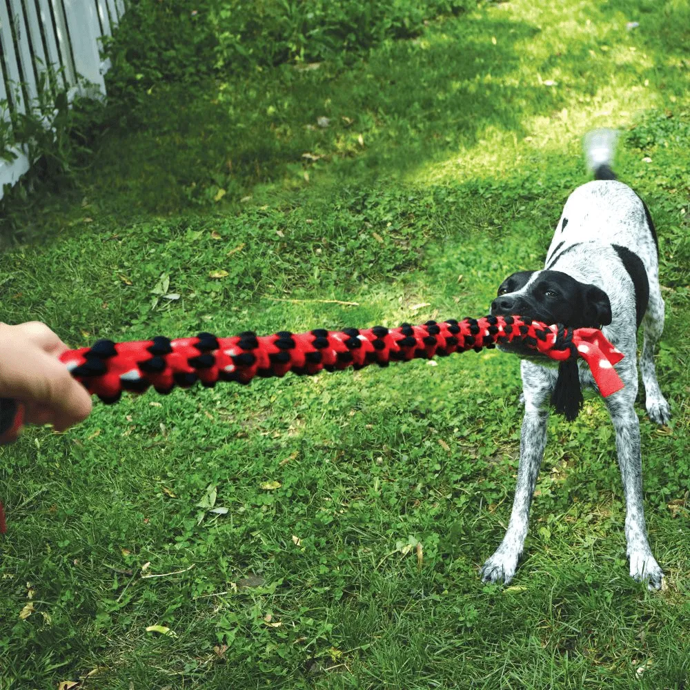 Kong Signature Rope Double Ring Tug Toy for Dogs (Red/Black)