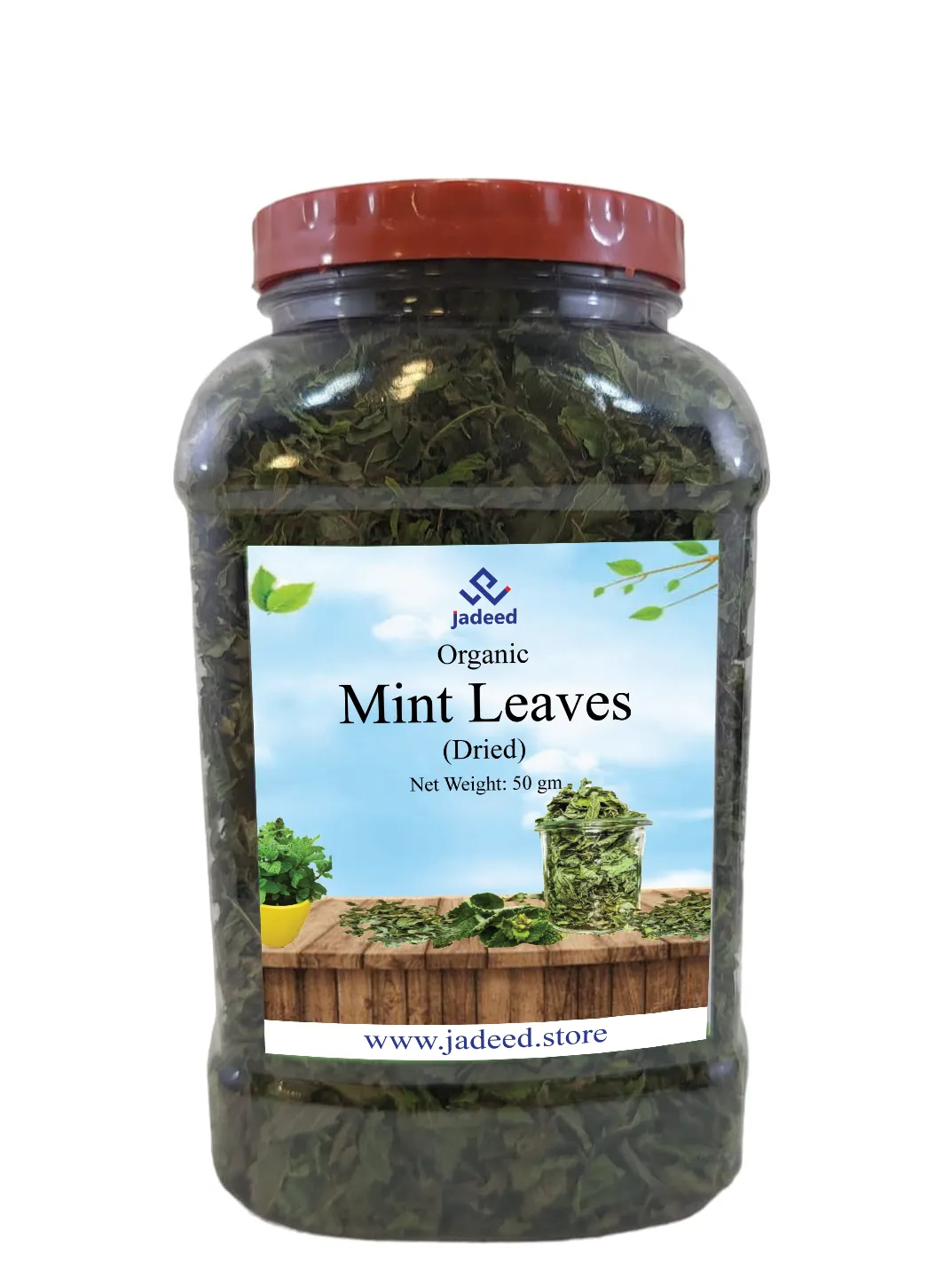 Organic Mint Leaves (Dried) 50 gm