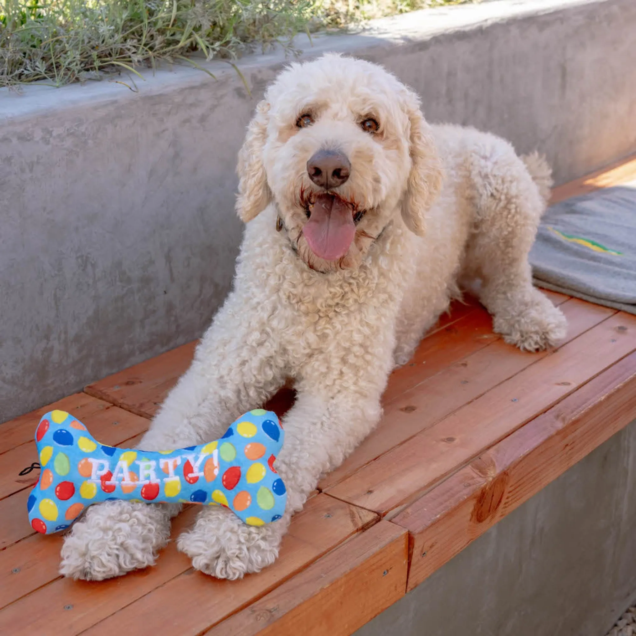 Party Time Plush Dog Bone