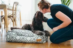 [Pre-order]Lounge Dog Bed: Solstice Snowy Day