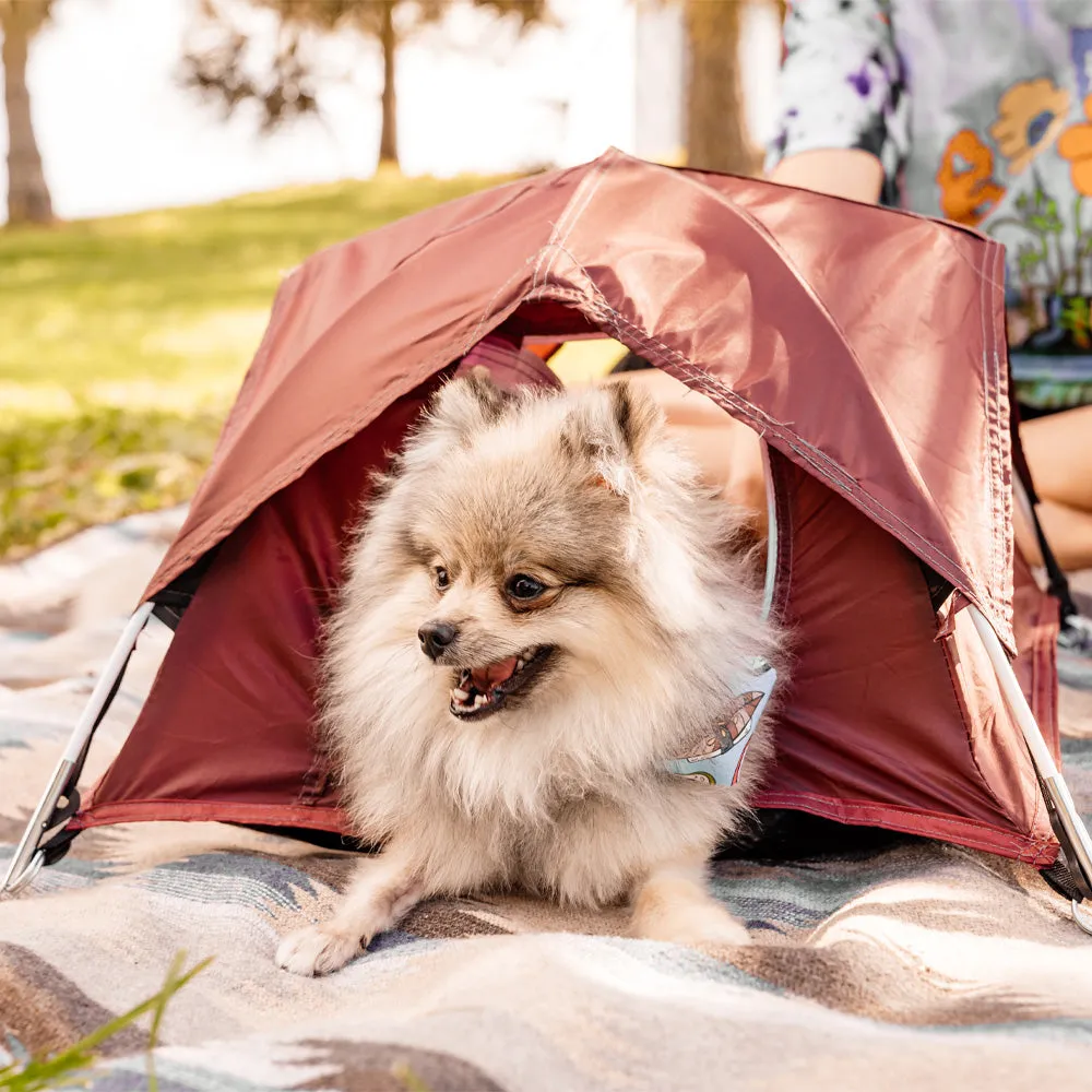 Tiny Tent