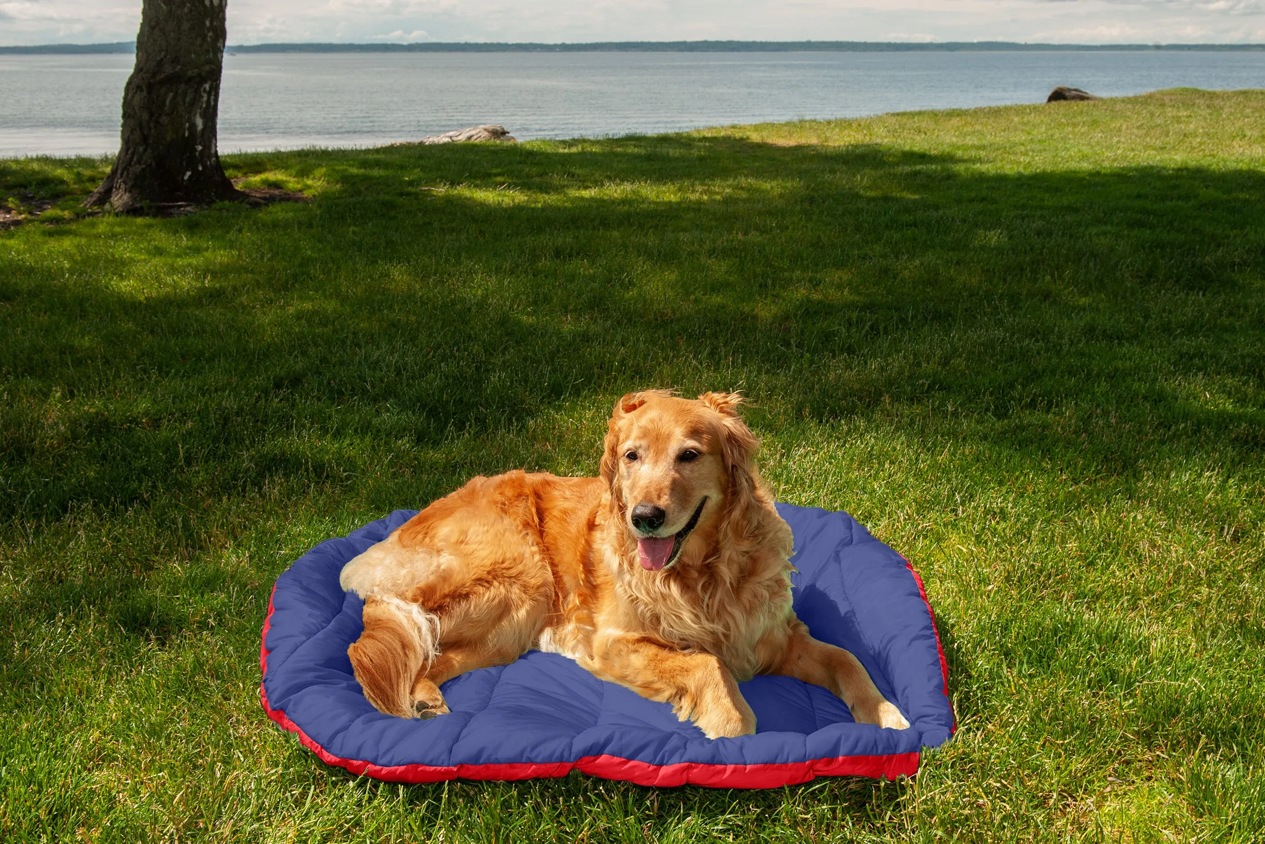 Trail Pup Packable Pet Pillow